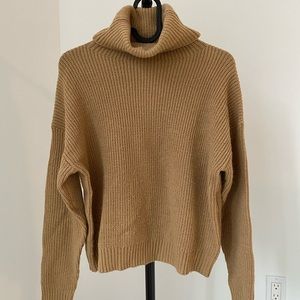Turtleneck Sweater